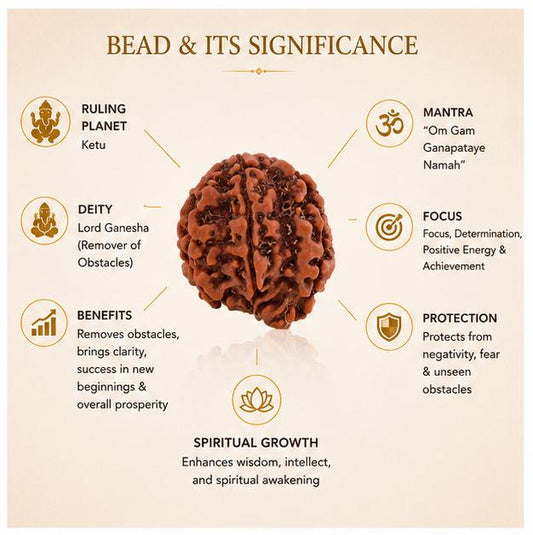 Ganesh Mukhi Nepali Rudraksha Bead