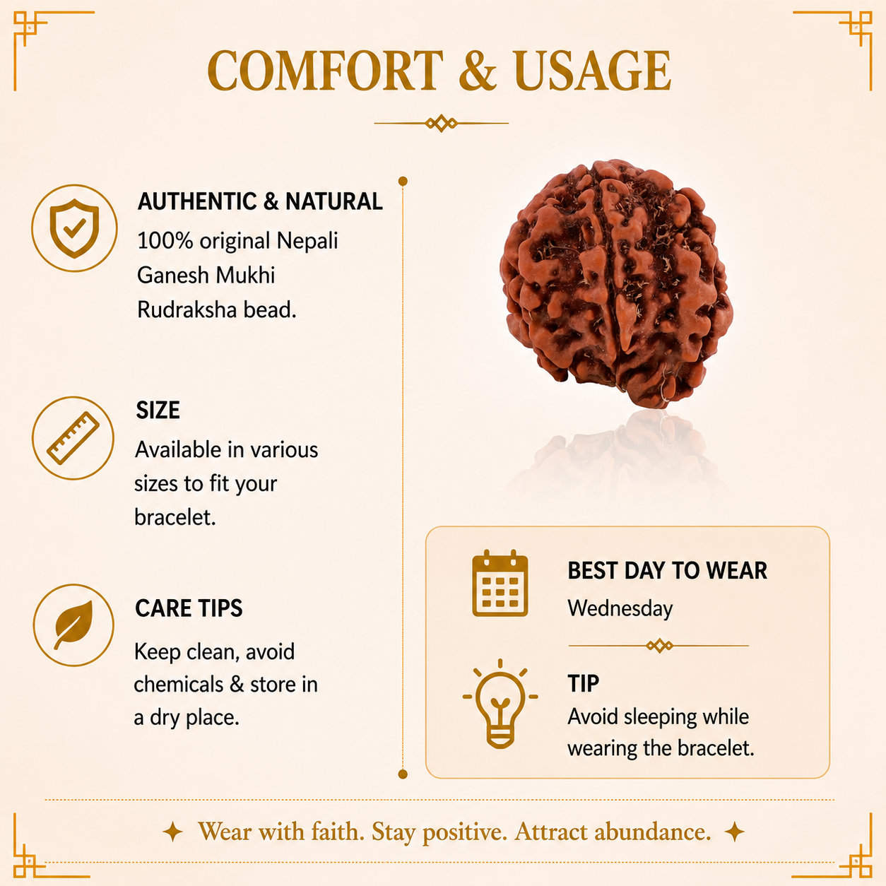 Ganesh Mukhi Nepali Rudraksha Bead