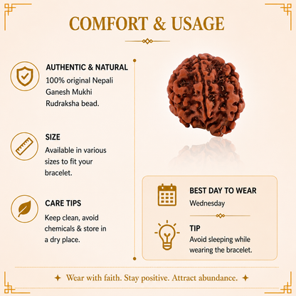 Ganesh Mukhi Nepali Rudraksha Bead