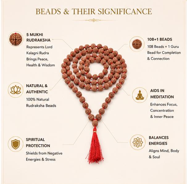 5 MUKHI RUDRAKSHA MALA - 8MM , 108+1 BEADS
