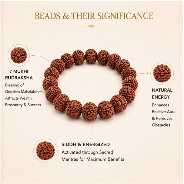 MAHALAKSHMI SIDDH 7 MUKHI RUDRAKSHA BRACELET