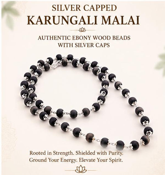 SILVER CAPPED KARUNGALI MALAI