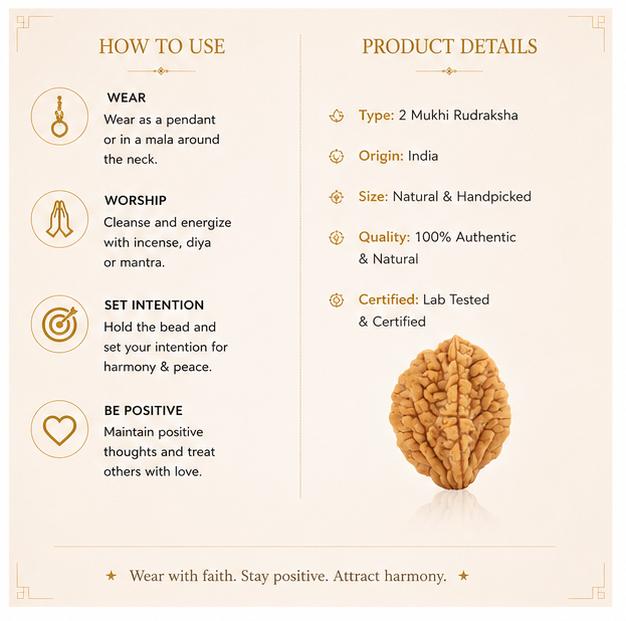 2 MUKHI NATURAL RUDRAKSHA BEAD ( INDIAN )