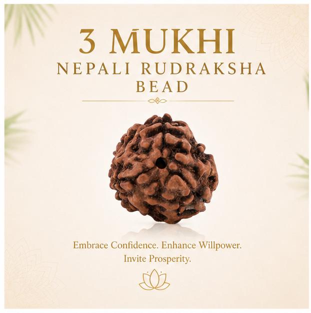 3 MUKHI NEPALI RUDRAKSHA BEAD