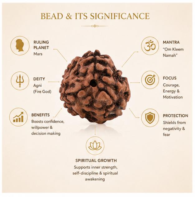 3 MUKHI NEPALI RUDRAKSHA BEAD