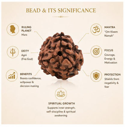 3 MUKHI NEPALI RUDRAKSHA BEAD