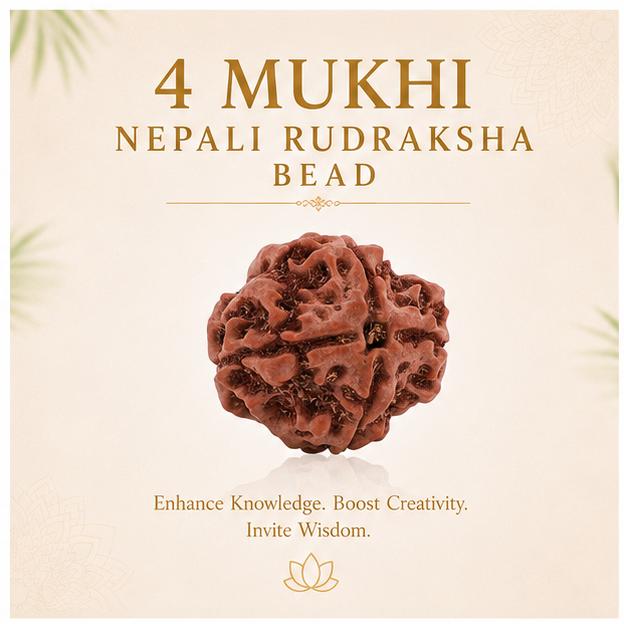 4 MUKHI NEPALI RUDRAKSHA BEAD
