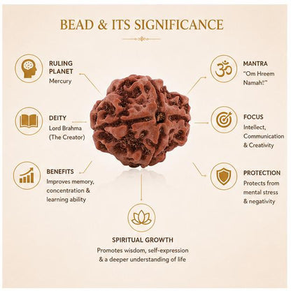 4 MUKHI NEPALI RUDRAKSHA BEAD