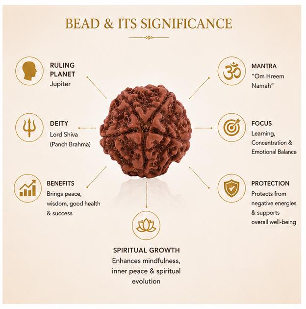 5 MUKHI NEPALI RUDRAKSHA BEAD