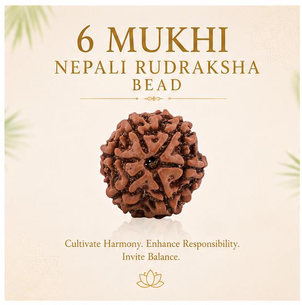 6 MUKHI NEPALI RUDRAKSHA BEAD