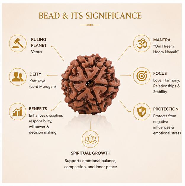 6 MUKHI NEPALI RUDRAKSHA BEAD