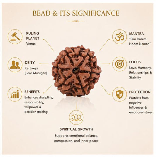 6 MUKHI NEPALI RUDRAKSHA BEAD