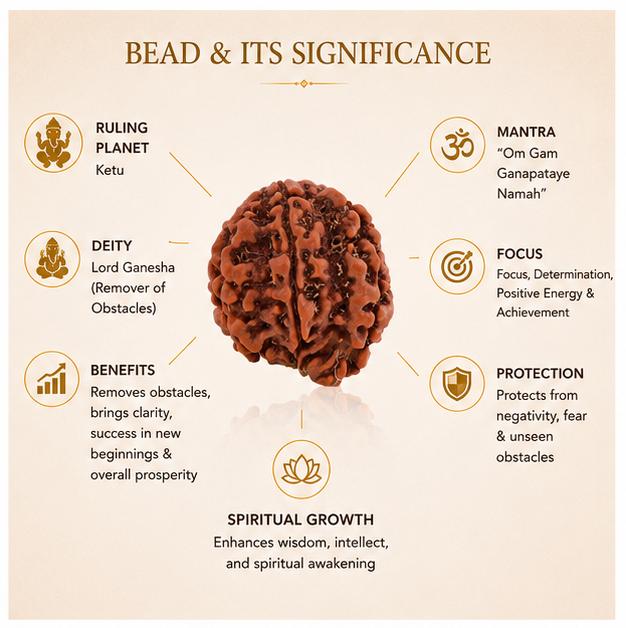 Ganesh Mukhi Nepali Rudraksha Bead